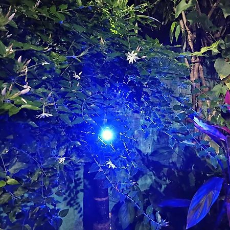 Green View Homestay สิริกุรี ภายนอก รูปภาพ