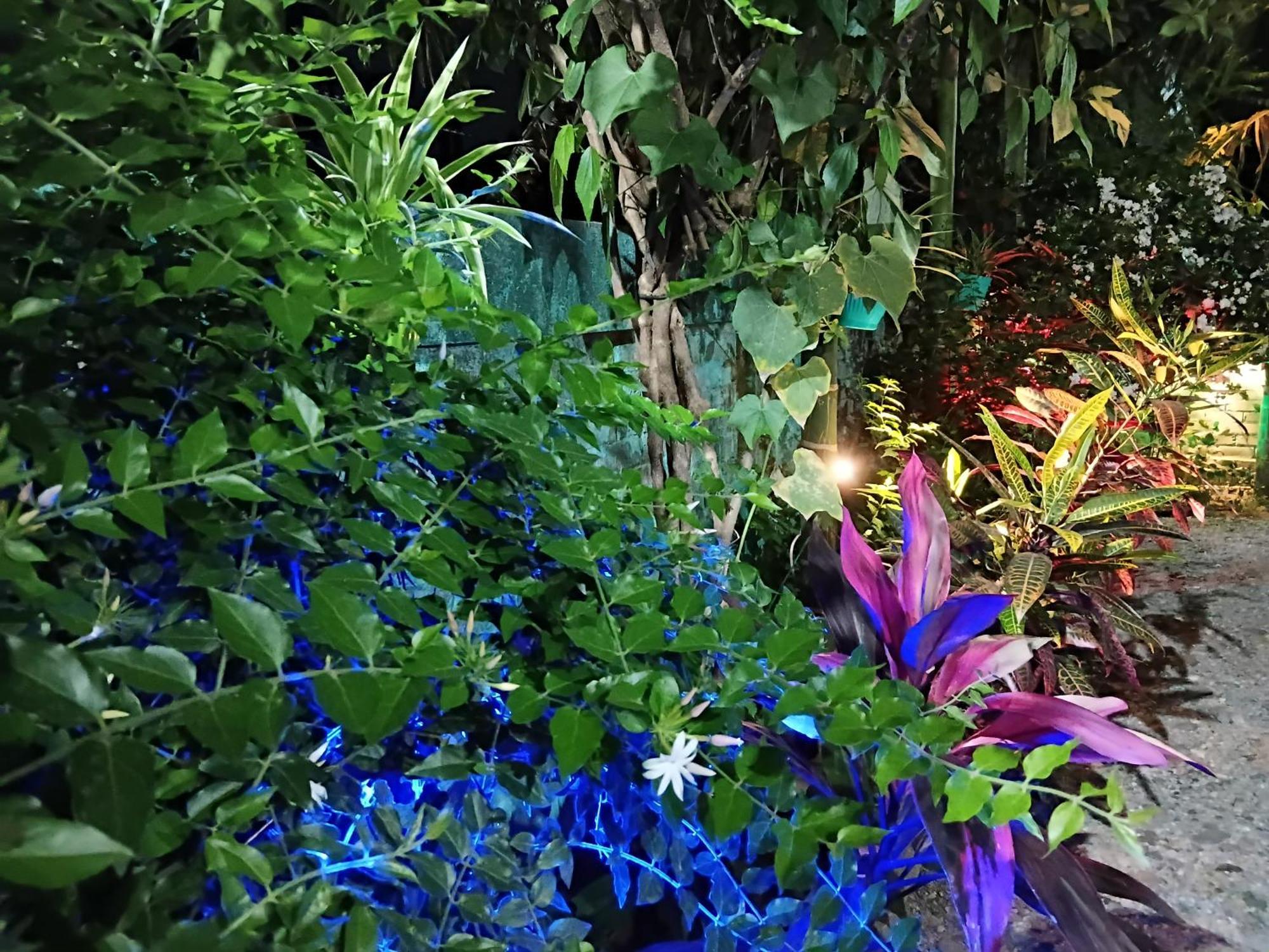 Green View Homestay สิริกุรี ภายนอก รูปภาพ