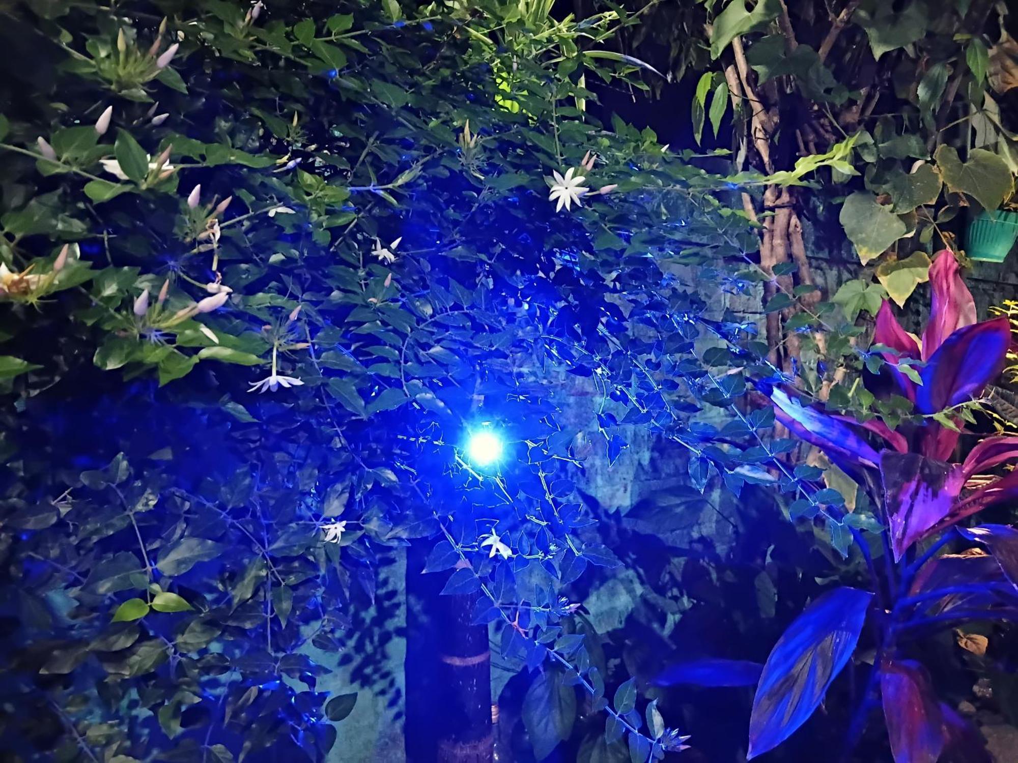 Green View Homestay สิริกุรี ภายนอก รูปภาพ